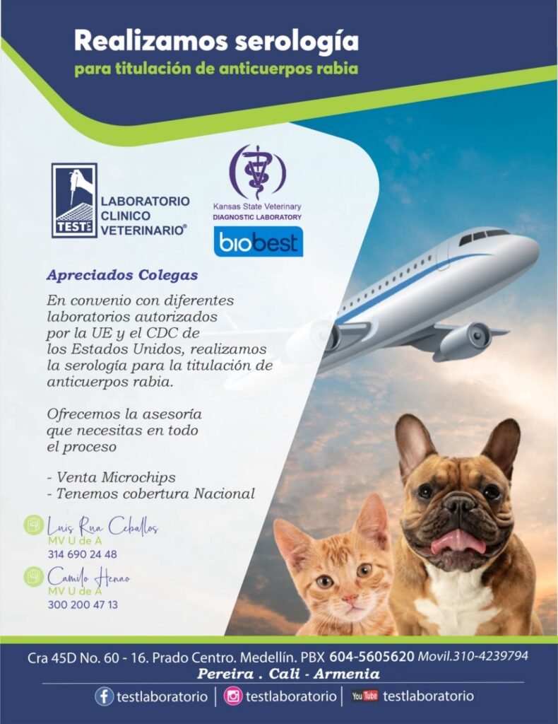 viajar con mascotas Teslab